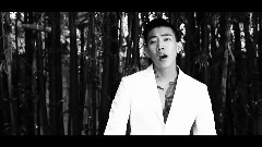 Jay Park - The Promise