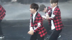 EXO,EXO-K - WOLF