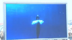 SKE48 - SKE48 x 东海ウォーカー 朹海エリアの魅力に迫る! アルイテラブル! レポート編