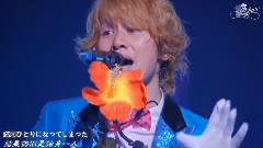 関ジャニ∞ - 渇いた花 TOUR 2 9