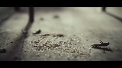 欧美群星 - Emalkay