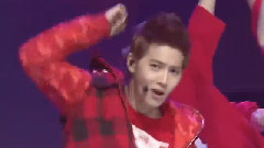 EXO,EXO-K,EXO-M - Wolf