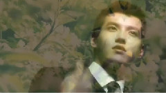 EXO - 少年不戴花