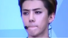 EXO - 对不起 忘了你 ii