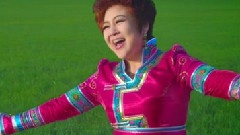 华语群星 - 梦萦草原