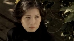 刘若英 - 花季未了
