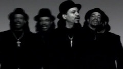 Ice-T - I Must Stand