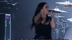 Evanescence - What You Want