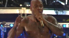 Flo Rida - Wild Ones