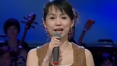 蔡幸娟 - 云河
