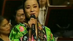 毛阿敏 - 思念