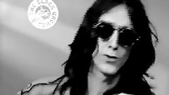 The Black Crowes - Live