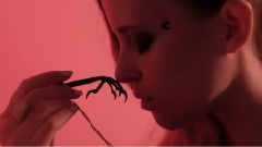 Kyla La Grange - Walk Through Walls