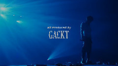 GACKT - 2013年GACKT演唱会BOTB最终场 5