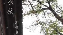 华语群星 - 白杨