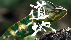 刘德华 - 道地极品解茶 2015(30S Ver.)