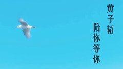 黄子韬 - 你好,22岁的黄子韬 (黄子韬0502生日快乐)