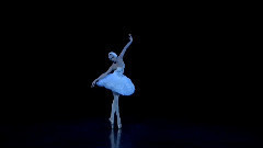 音乐短片,舞蹈视频 - 芭蕾舞 天鹅之死(Ulyana Lopatkina)
