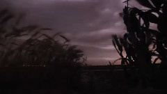 音乐短片 - 焚心似火