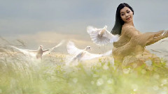 音乐短片 - 见到鱼玄机