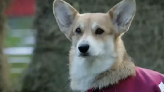 音乐短片 - Name - Prediction Race