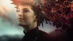 音乐短片 - Manschoud