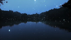 Night Stroll