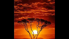 音乐短片 - 夕阳颂