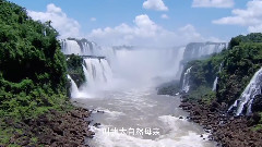 音乐短片 - 大自然在说话之Mother Nature