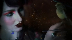 音乐短片 - Indian Dreams Various Artists 梦境