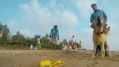 音乐短片 - A Street Dog's Life