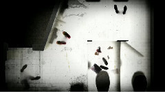 音乐短片 - The Underneath(Film) - Wikipedia,The Free