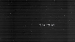 华语群星 - 我们是