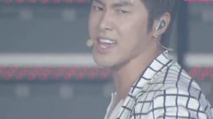 2PM,东方神起,T-ara,少女时代,BEAST - 日本TV Music Bank In Tokyo报道 11/07/14