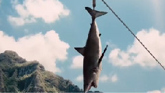 欧美群星,音乐短片,影视原声 - 电影<侏罗纪世界>加长版电视预告