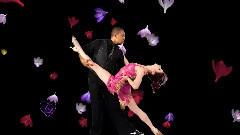 音乐短片 - Night Tango