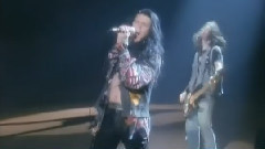 The Cult - Wild Flower