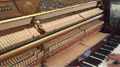 音乐短片 - Публикувано