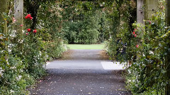 音乐短片 - Christine Waltz