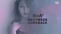 BoA - 回归预告