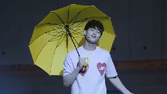 JJCC - On the Flower Bed