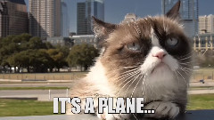 音乐短片 - Grumpy Cat In The Sky!