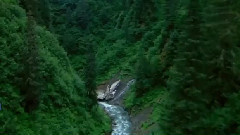 音乐短片 - Rain Dance