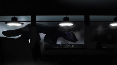 SBTRKT - New Dorp. New York.