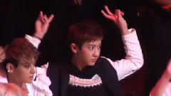 EXO,朴灿烈(EXO) - 中国爱大歌会