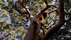 音乐短片 - Недоторканих