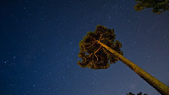 音乐短片 - Природа - время 4 timelapse