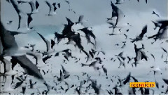 音乐短片 - Стаматис Spanoudakis