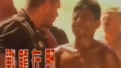 王杰 - 1993年 <战龙在野> 电影广告