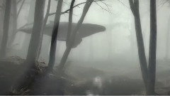 音乐短片 - Безопасный и свободный